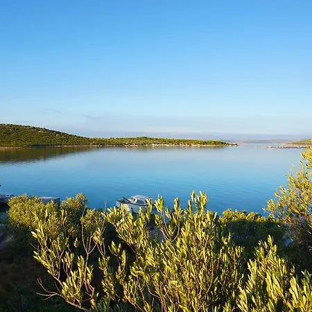 House Captain Felix * Tkon