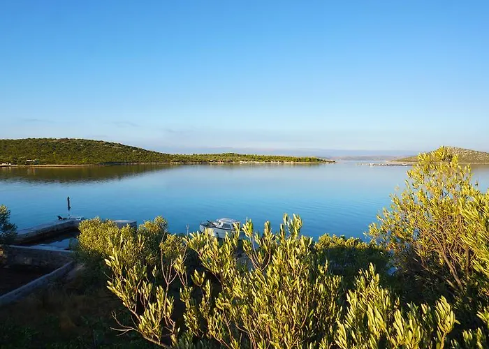 House Captain Felix * Tkon