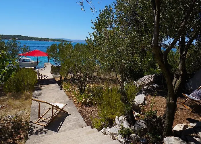 House Captain Felix * Tkon