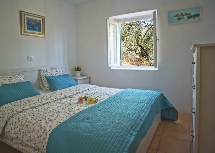 House Captain Felix * Tkon